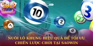Nuôi lô khung